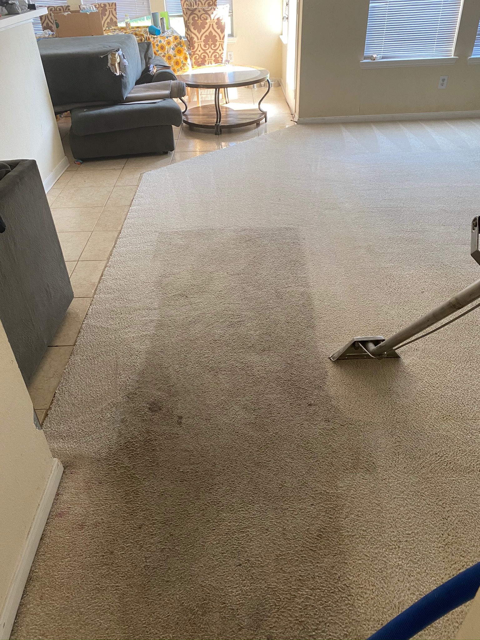 texas professional carpet cleaning